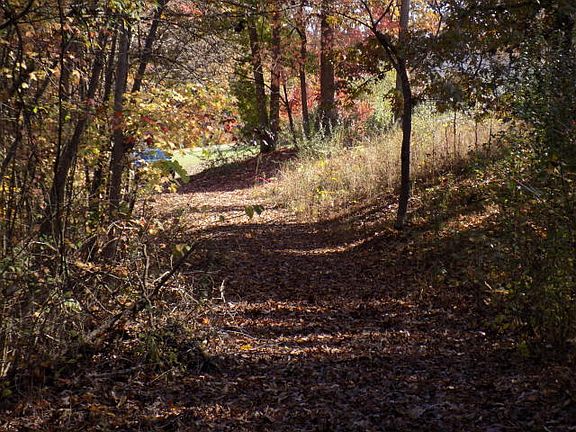 5th image of 521 New Clear Branch Lane