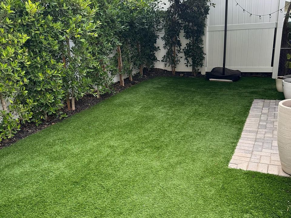 Back yard