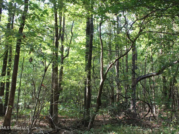 7 Star Landing Rd, Nesbit, MS 38651