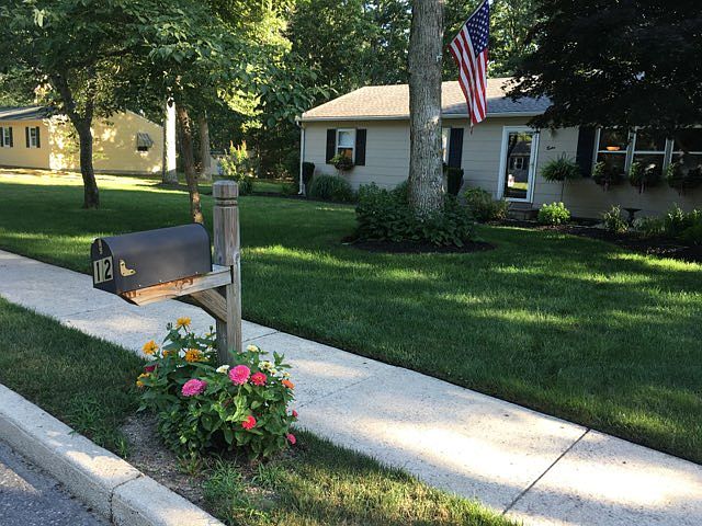 Nestled in the woods