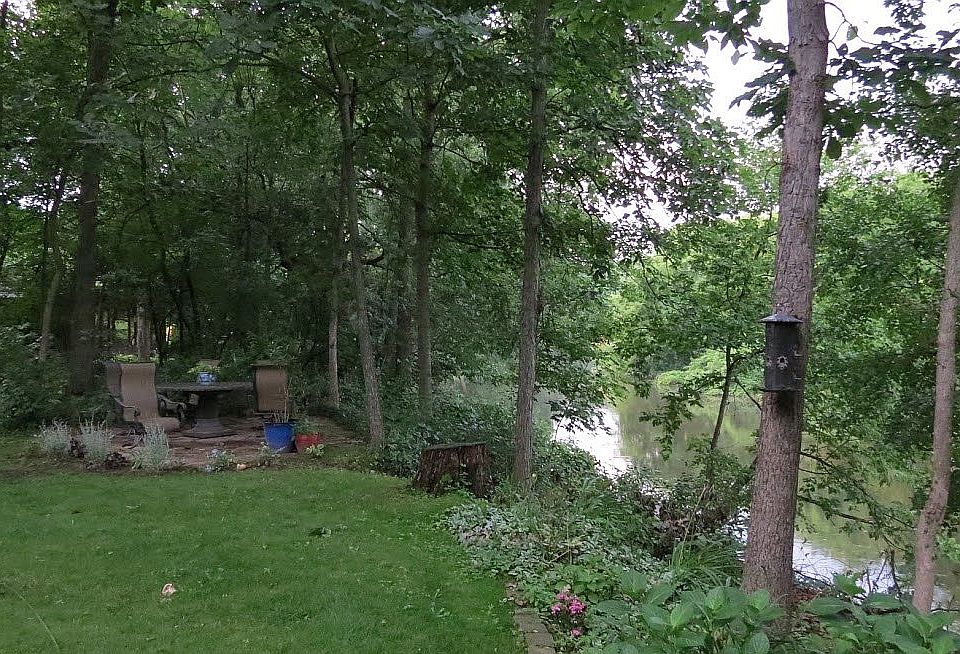 View from Master Bedroom