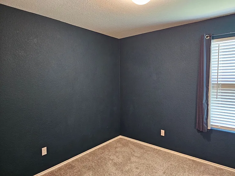 21408 Bird Wing Dr — Photo 29