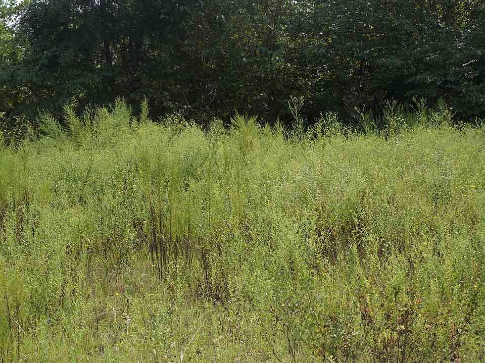 1st image of 24288 State Highway 31 E