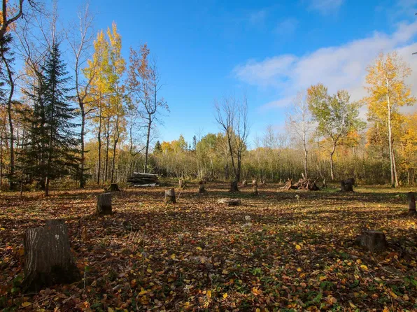 xxx Rose Rd, Hermantown, MN 55811