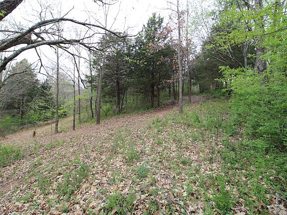 3rd image of 2558 Folkner Rd