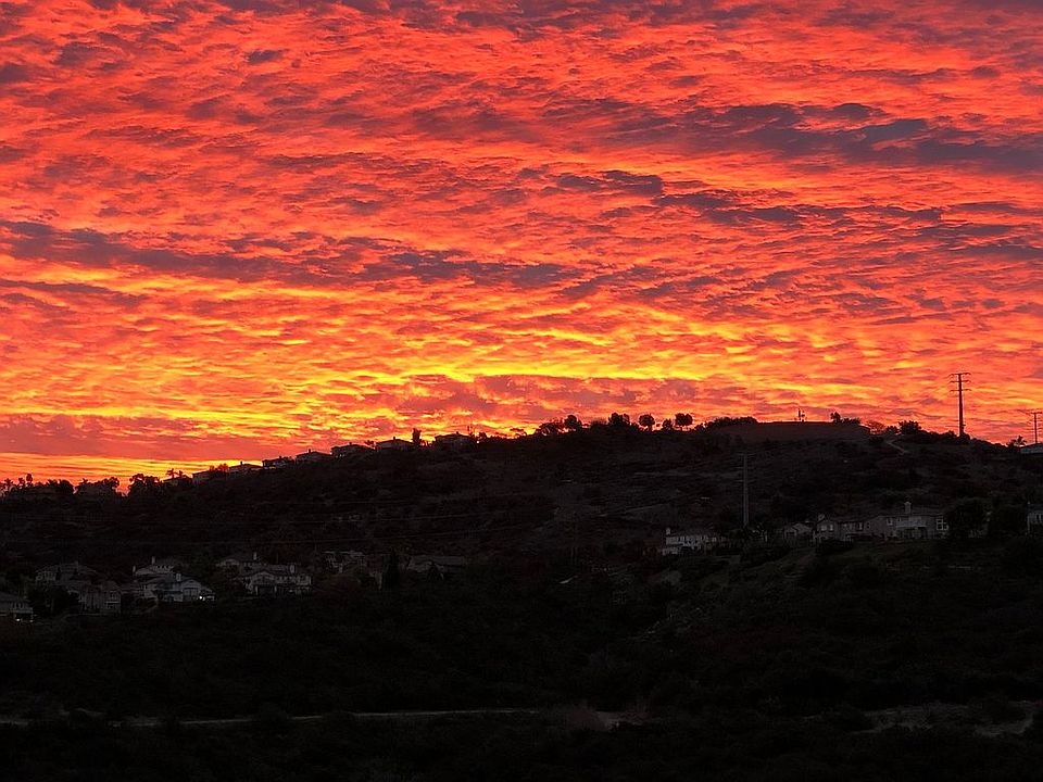 Backyard Sunrise 