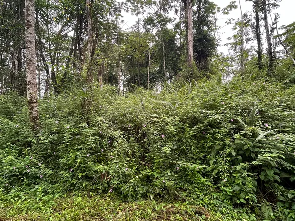 Holiday Rd Lot 680, Pahoa, HI 96778