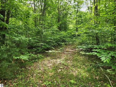 Blue Lake Rd NE Lot L, Kalkaska, MI, 49646