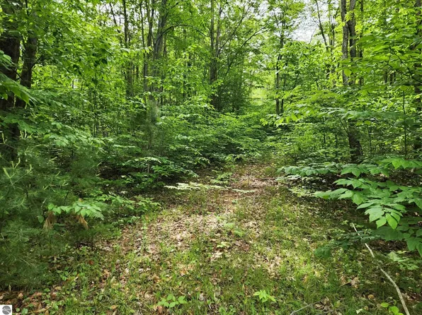 Blue Lake Rd NE Lot L, Kalkaska, MI 49646
