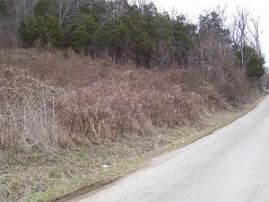 2nd image of Copeland Cove Rd