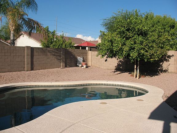 Backyard Swimming Pool