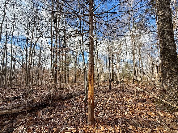 3rd image of 0 Carr Creek Rd