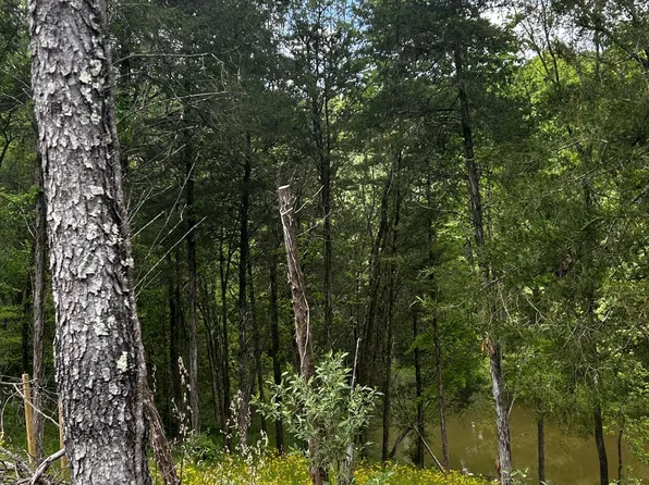 LOT Trailwood Lake Rd #218, Bagdad, KY 40003