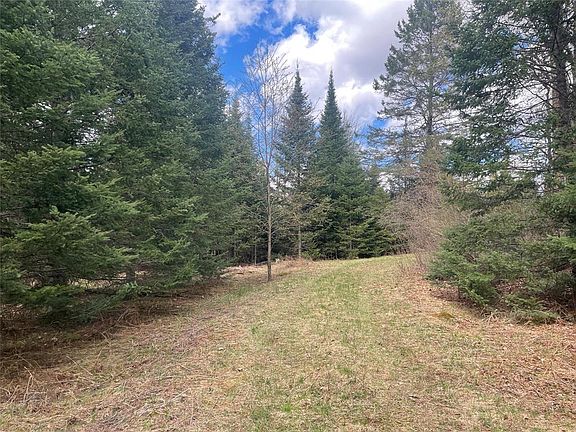 5th image of 40+/- Acres On Pociask Road