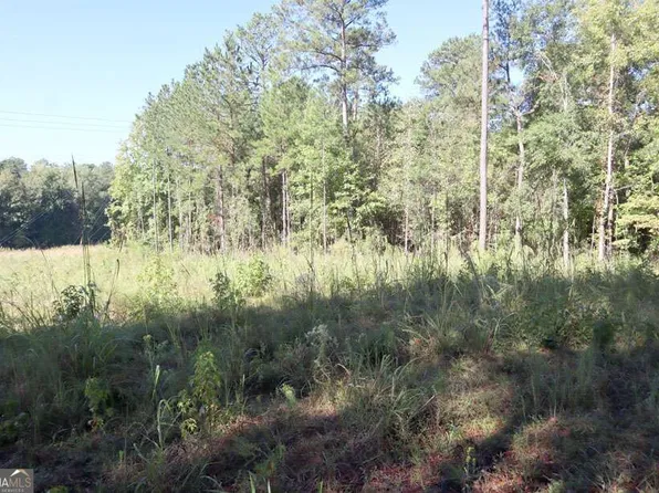 287 Lake Sinclair Dr, Sparta, GA 31087