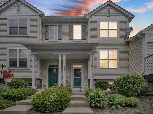 340 Terra Springs Cir, Volo, IL 60020