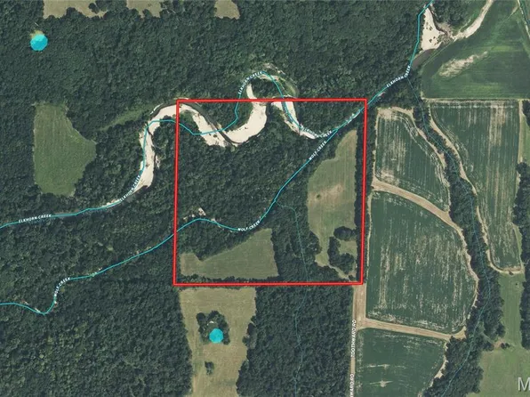 29 Toothward Rd, Bellflower, MO 63333