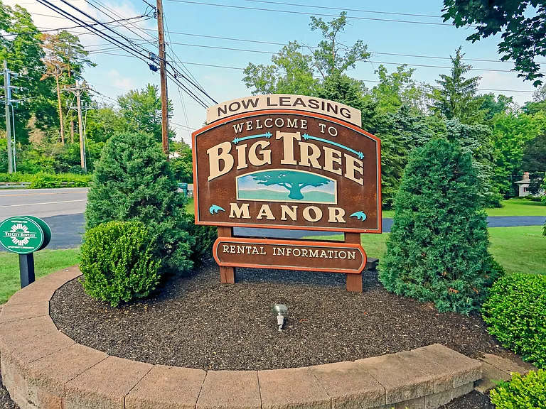 Big Tree Manor — Photo 7