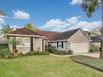 14509 Brambie Ct, Tampa, FL, 33624