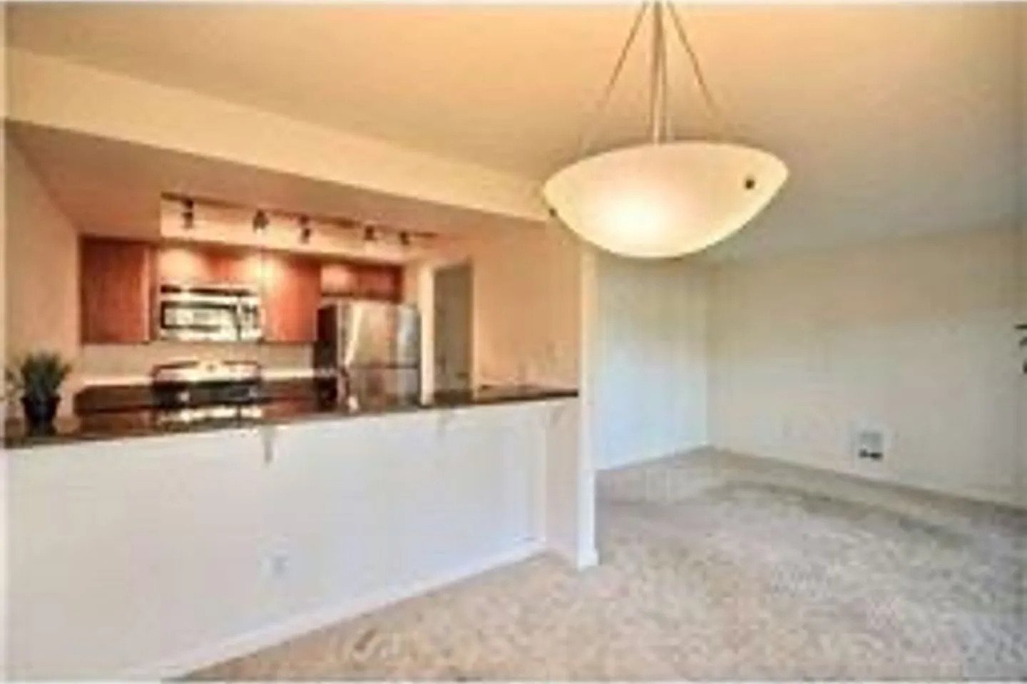Quiet ground floor unit with access to large grassy area — Photo 4