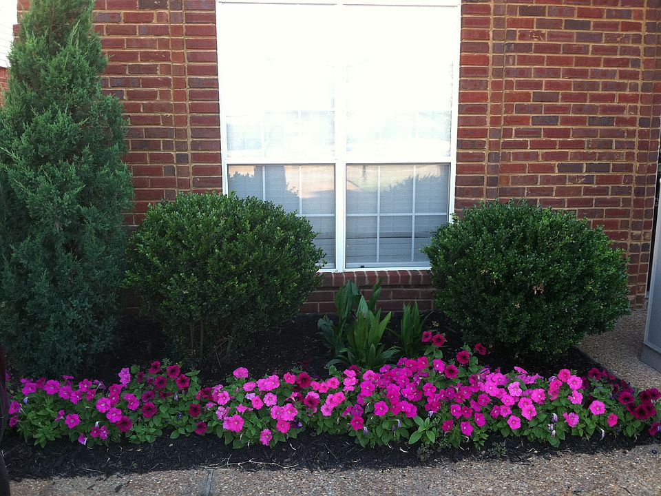 Front Flower Bed