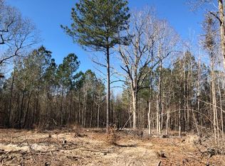 0 Highway 80 E, Keysville, GA 30816