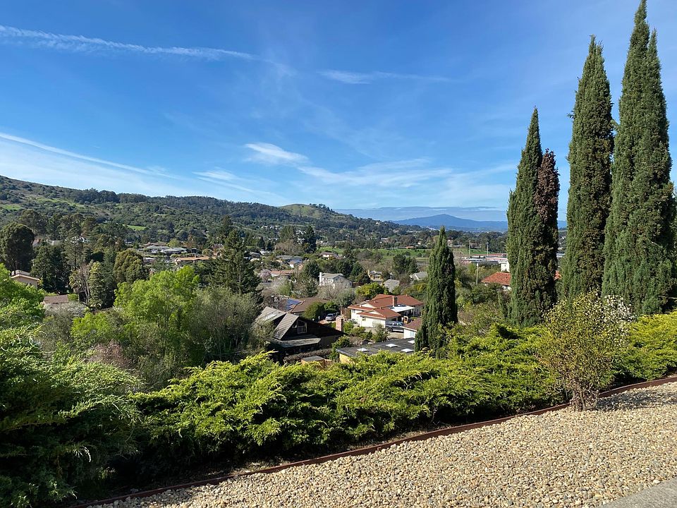 View from the backyard