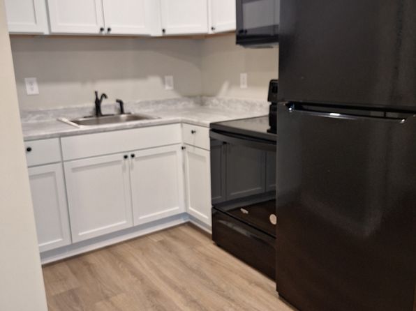 205 S Shenandoah Ave, Front Royal, VA 22630 – studio rental in Front Royal