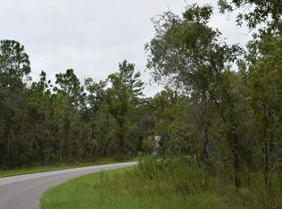 11464 Labrador Duck Rd, Weeki Wachee, FL 34614