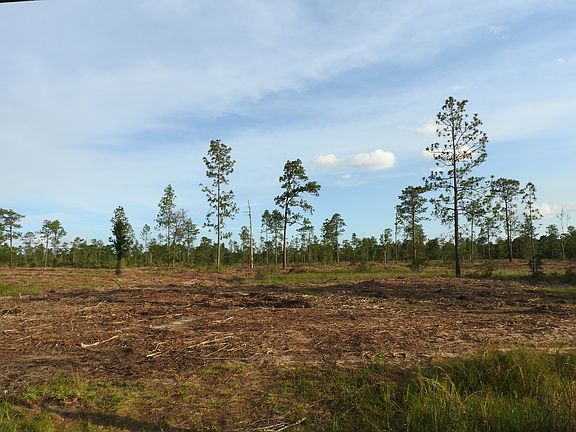4th image of Cypress Lake Dr
