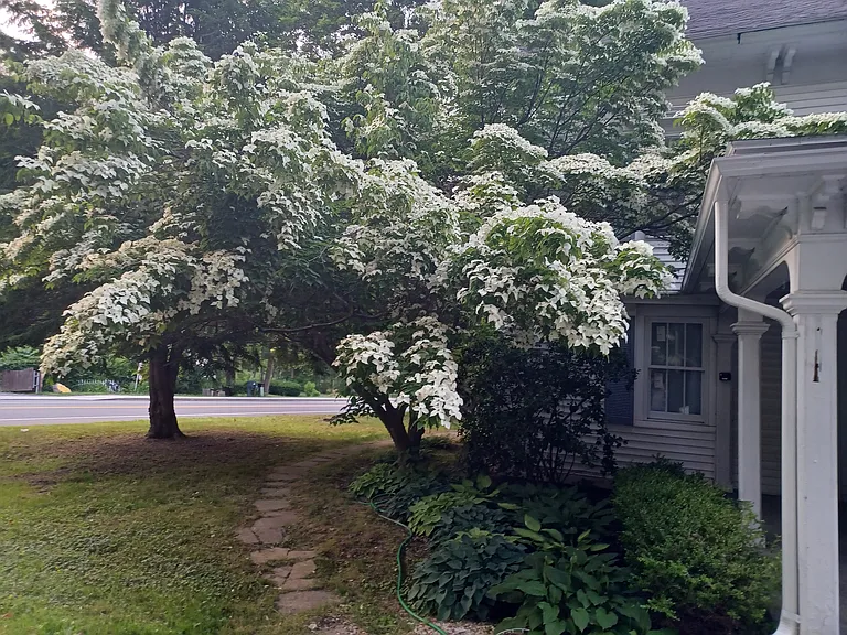 212B Main St — Photo 2