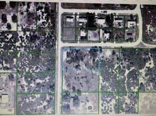 517 S Landry Rd, Avon Park, FL 33825