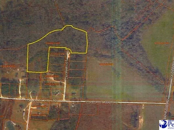 Zachary Ct, Latta, SC 29565