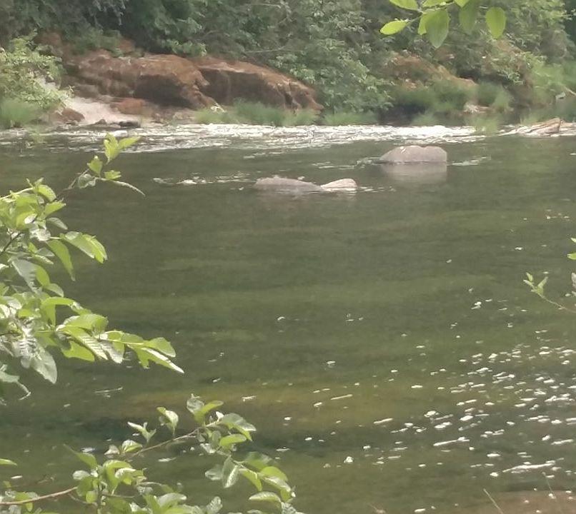 2nd image of 5896 S Umpqua Rd