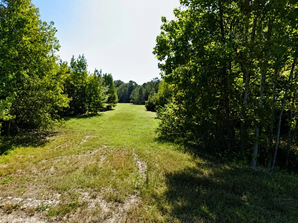 0 Bethel Cemetery Rd, Reevesville, SC 29471