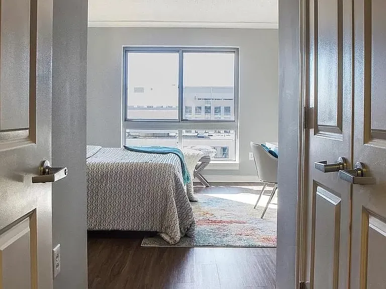 Bedroom with walk-in closet