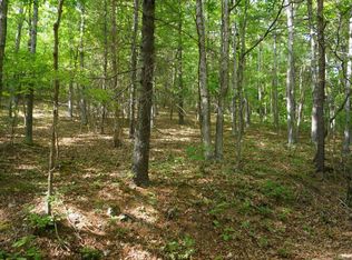 12 Middle Mountain Rd, Covington, VA 24426