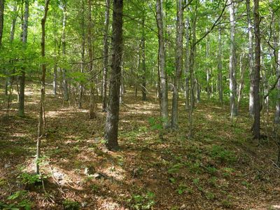 12 Middle Mountain Rd, Covington, VA, 24426