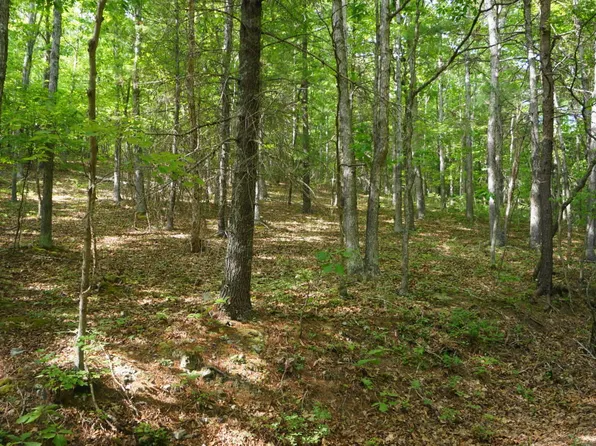 12 Middle Mountain Rd, Covington, VA 24426