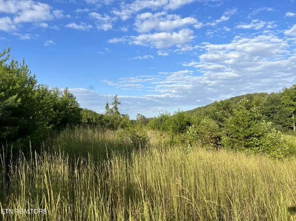 Dyer Hollow Rd, Mohawk, TN 37810