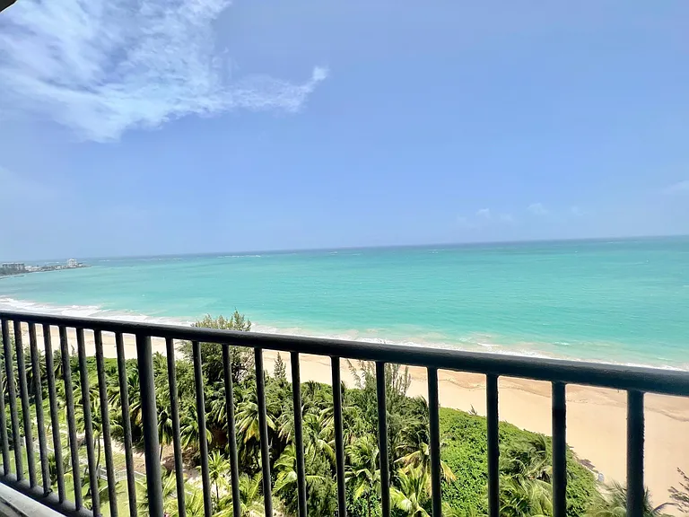 4745 Avenue Isla Verde — Photo 18