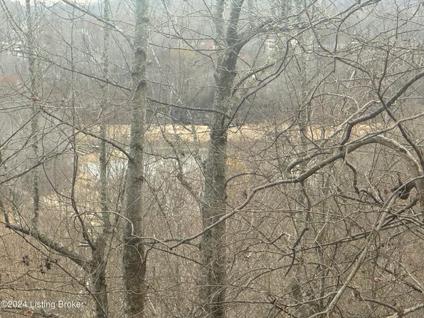 0 Falls Ln, Leitchfield, KY 42754