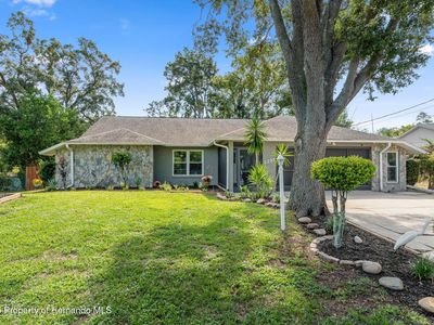 2295 Rio Cir, Spring Hill, FL, 34608