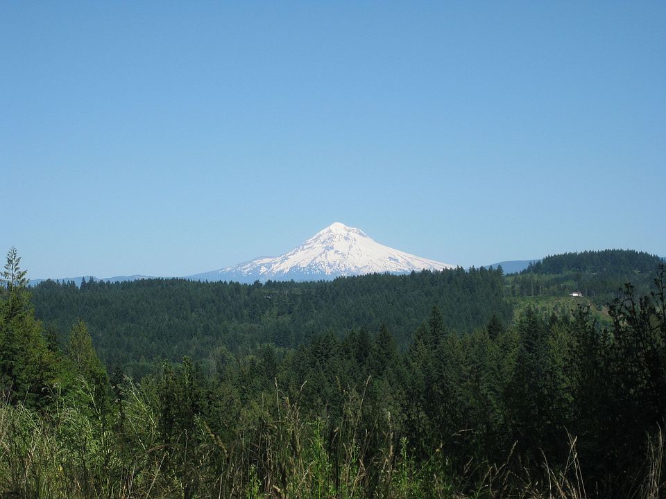 View from the front yard