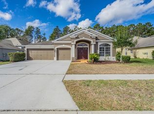 7337 Shore Acres St, Wesley Chapel, FL 33545
