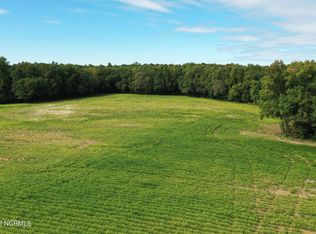 3-003 Old Mill Rd, Stantonsburg, NC 27883