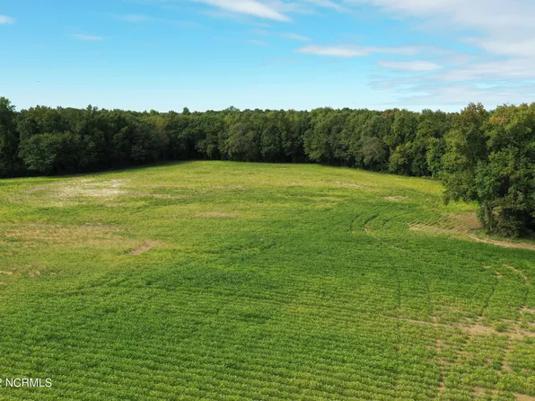 003 Old Mill Road, Stantonsburg, NC 27883