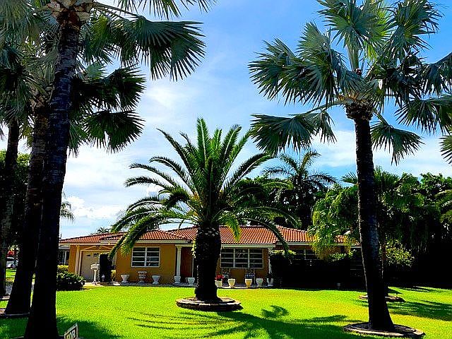 Stunning front yard