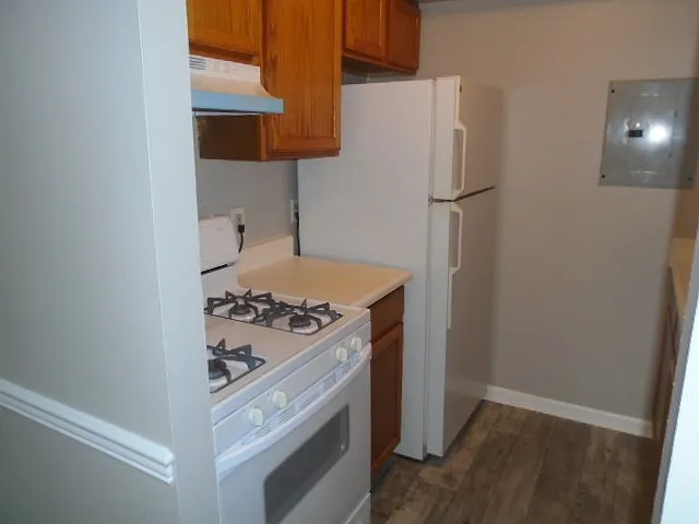 Maple View Apartments — Photo 4