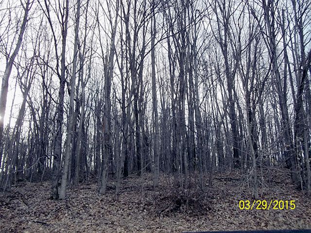1st image of 17837 Veterans Memorial Hwy